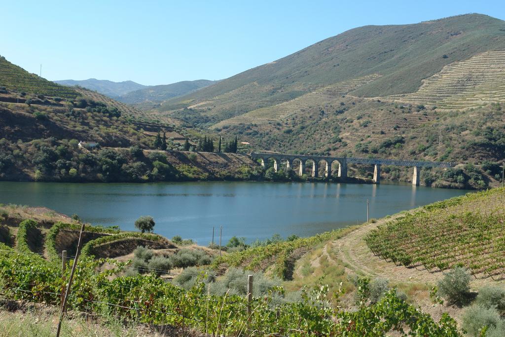 Quinta Vale De Carvalho Pension Pinhal do Douro Buitenkant foto